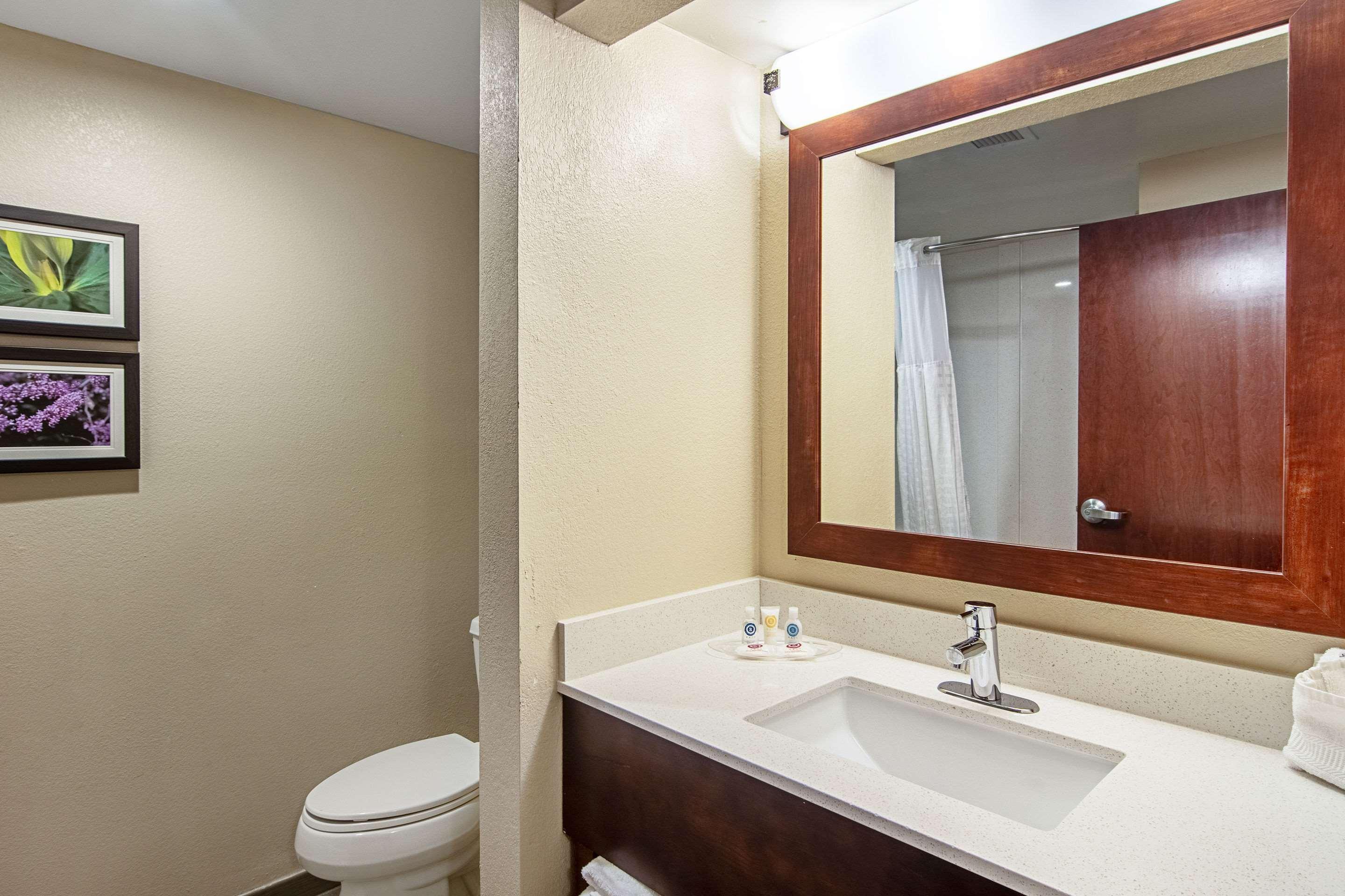 Comfort Suites Knoxville Airport Alcoa Esterno foto
